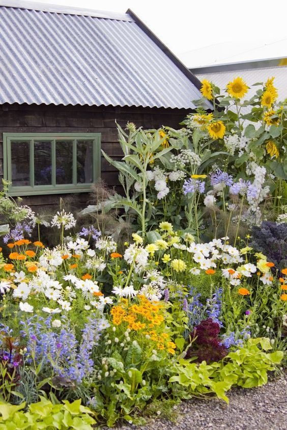 Essential Plants for a Cottage Garden