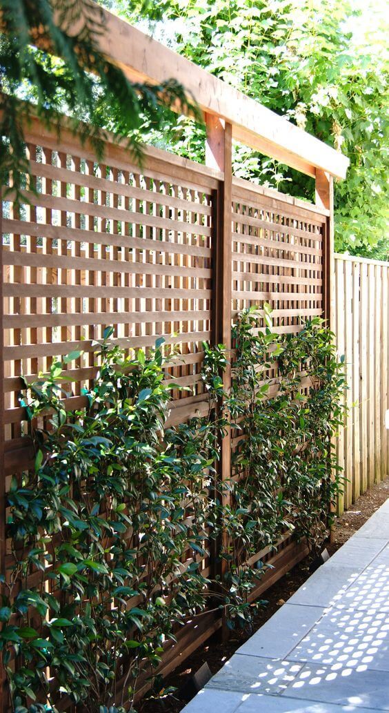 Creative Ideas for DIY Deck Privacy
Screens