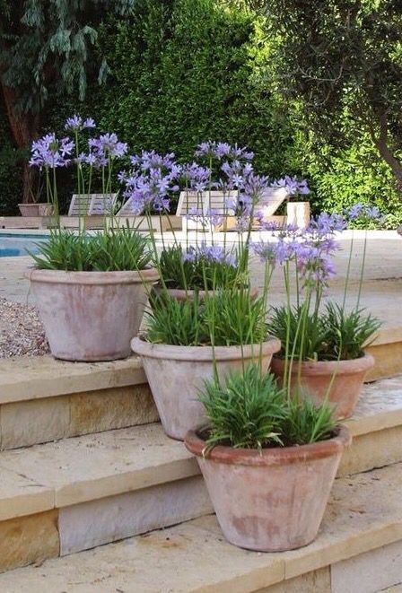 Creative Ways to Use Garden Pots