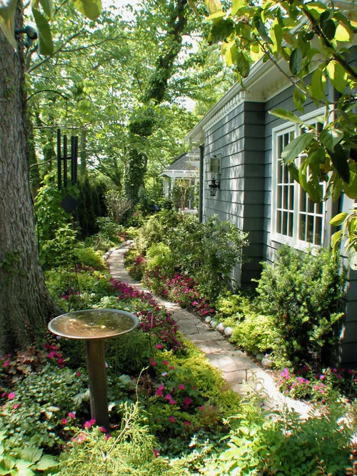 Essential Plants for a Cottage Garden