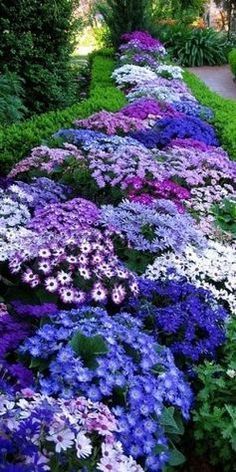 Stunning Flower Bed Ideas for Your Garden