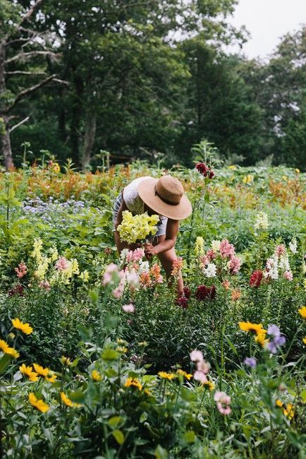 The Charm and Beauty of Cottage Gardens