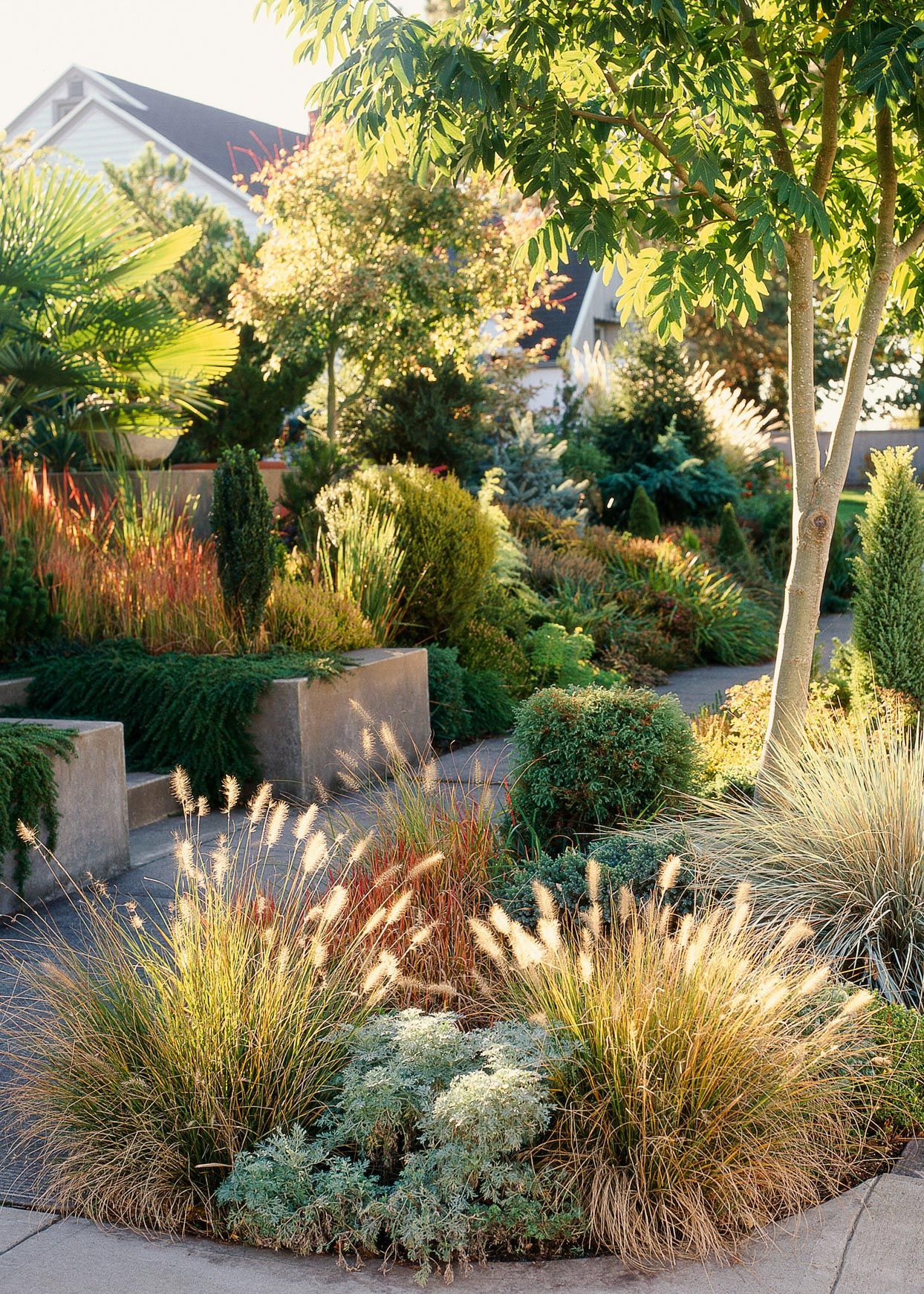 Creating a Water-Wise Oasis:
  Drought-Resistant Landscaping Tips