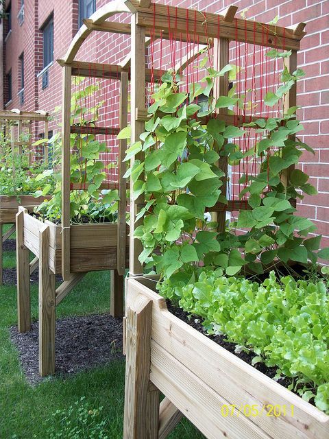 Maximizing Garden Space: The Benefits of
  Elevated Garden Beds