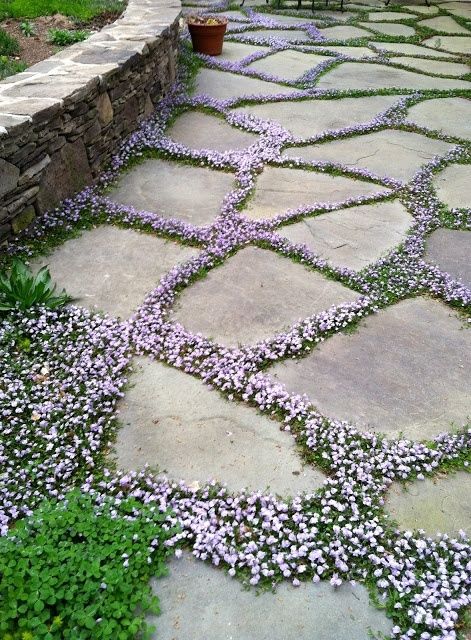 Choosing the Right Flagstone Pavers for
  Your Project