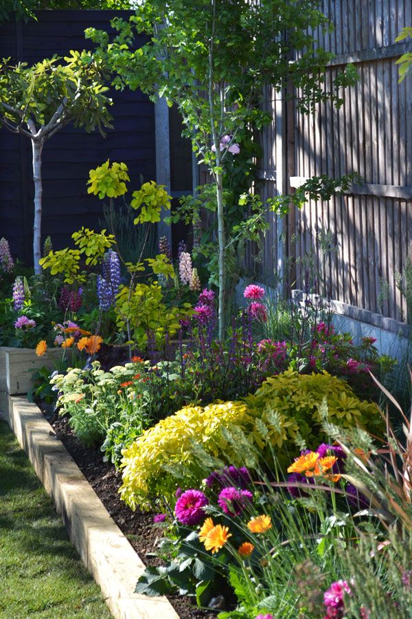 Design Tips for Beautiful Flower Beds