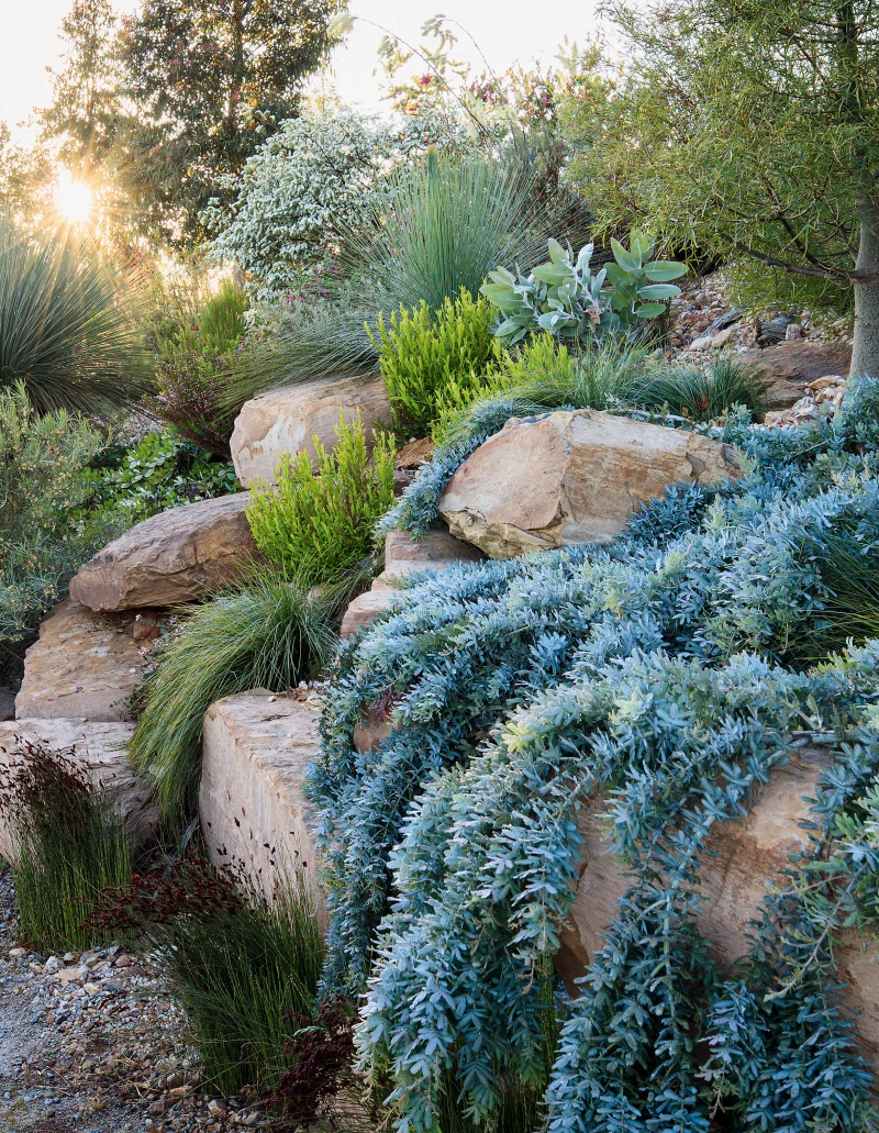 Unlocking the Secrets to a Stunning Front
  Garden Design