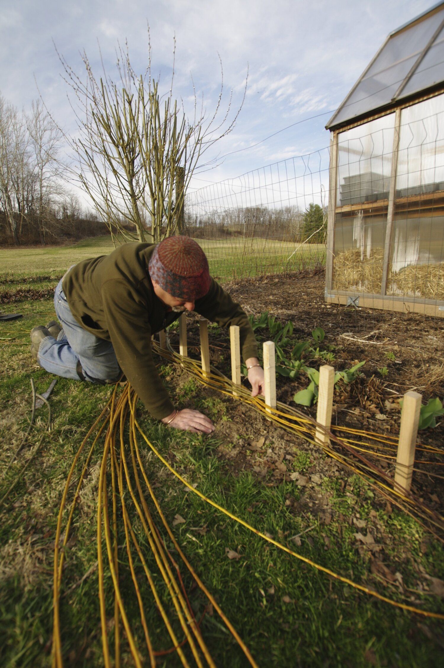 Creative Ideas for Enhancing Your Garden
  with Border Edging