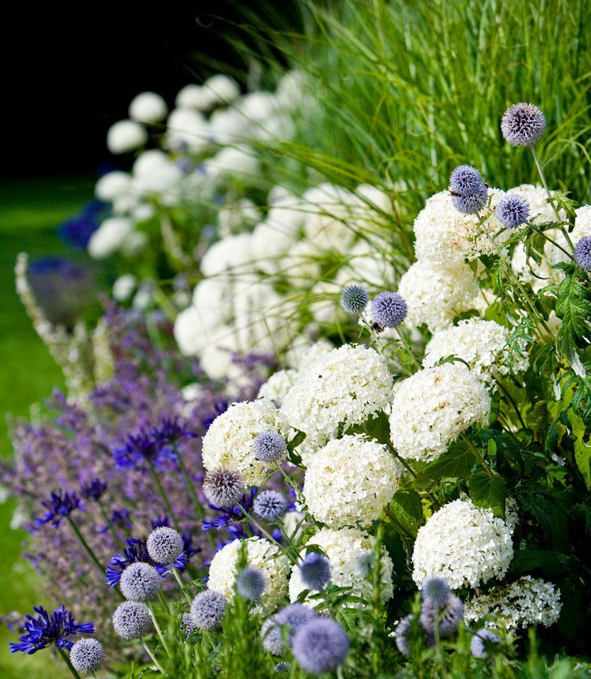 Transform Your Garden with These Border
  Ideas