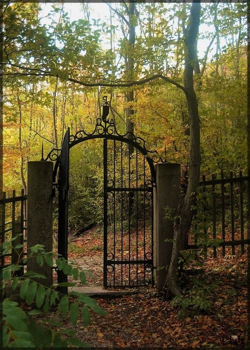 Enhance Your Outdoor Space with Beautiful
  Garden Gates