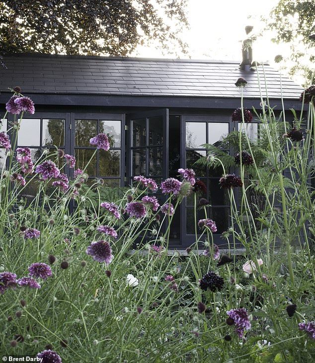 The Beauty of Garden Huts: A Guide to
  Building Your Own