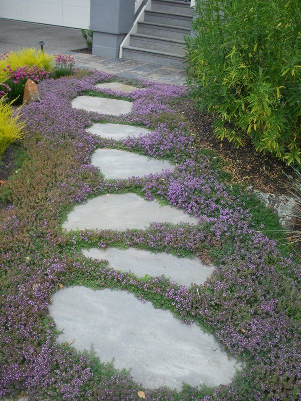 Beautiful Garden Path Ideas to Enhance
  Your Outdoor Space