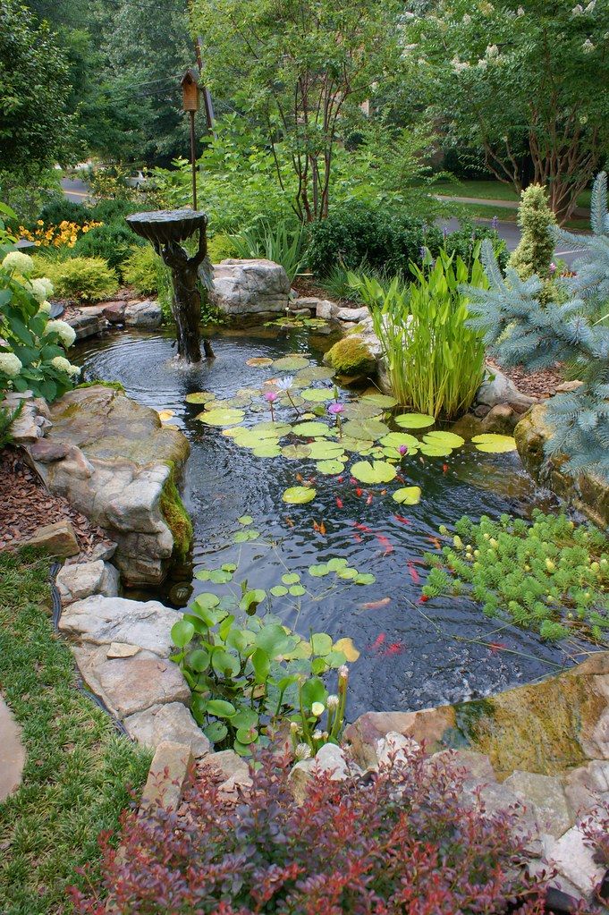 Creating a Tranquil Oasis: The Ultimate
  Guide to Building a Garden Pond