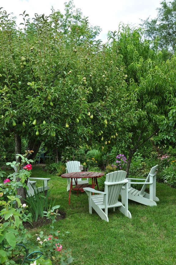 Selecting the Perfect Garden Table for
  Your Outdoor Space