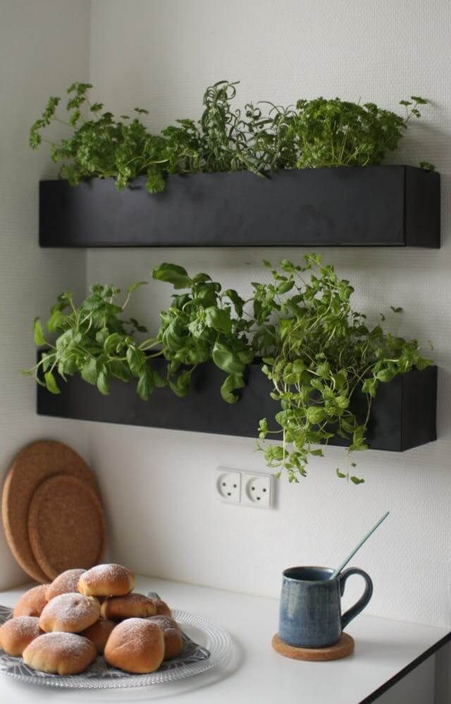 Creative Herb Garden Ideas for Every
  Space