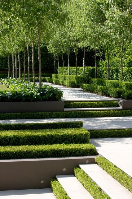 Transform Your Outdoor Space: The
  Ultimate Guide to Landscaping Design