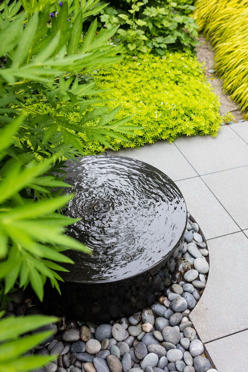 Contemporary Gardening: Embracing Modern
  Concepts in Garden Design