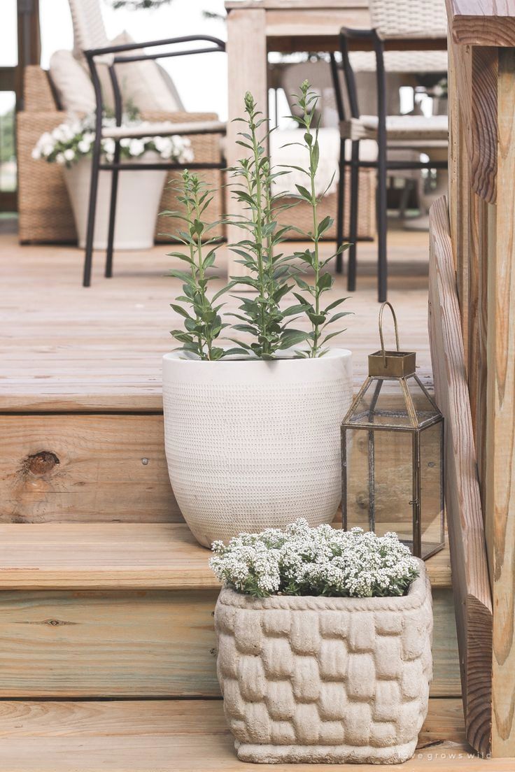 Transform Your Patio with These Creative
  Decor Ideas