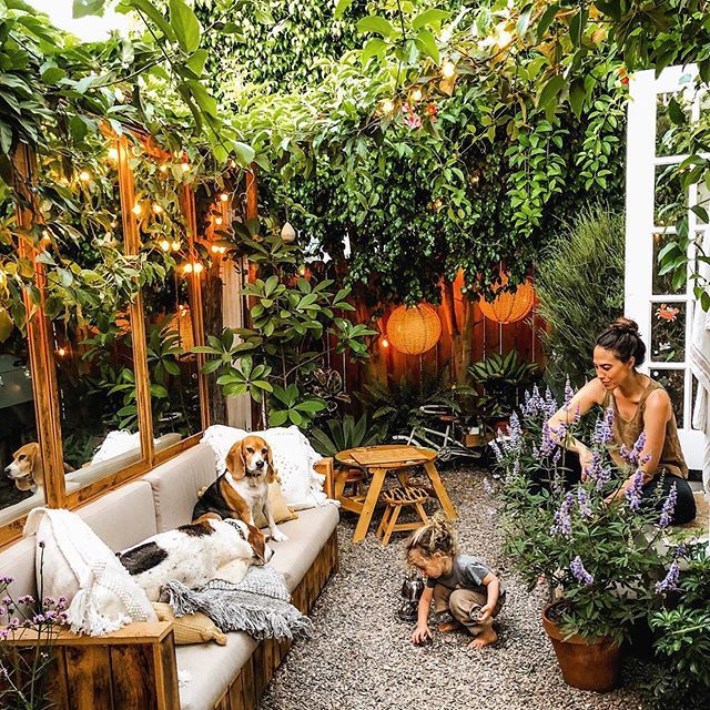 Transform Your Outdoor Space with a
  Stunning Patio Garden