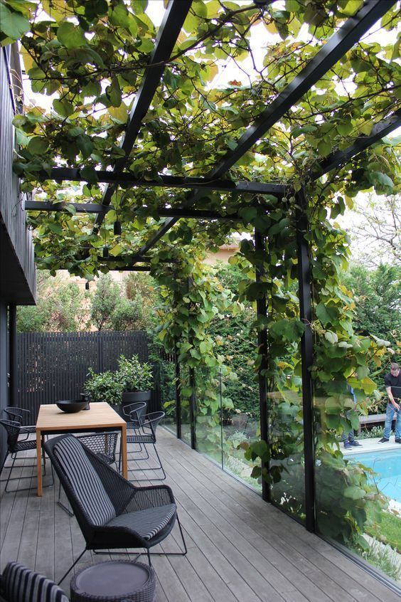 Transform Your Outdoor Space with an
  Aluminium Pergola