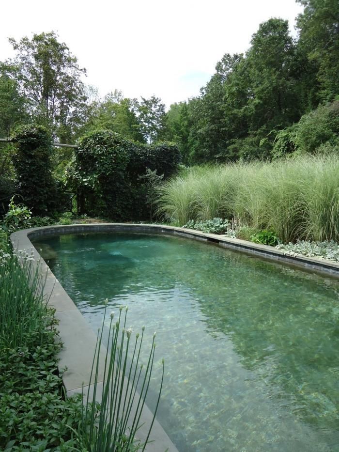 Transform Your Pool Area with These
  Creative Landscaping Ideas