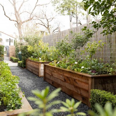 Thoughtful Design Tips for Raised Garden
  Beds