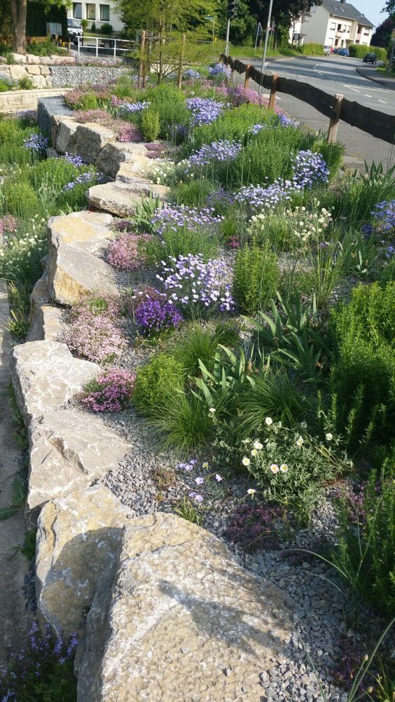 Creative Rock Garden Designs for Your
  Outdoor Space