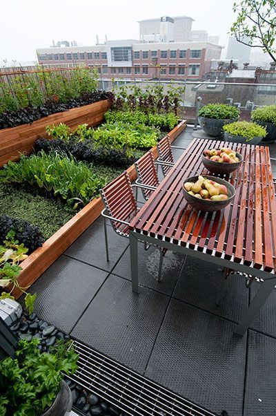 Transforming Your Rooftop into a Lush
  Oasis: The Ultimate Guide to Roof Garden Design