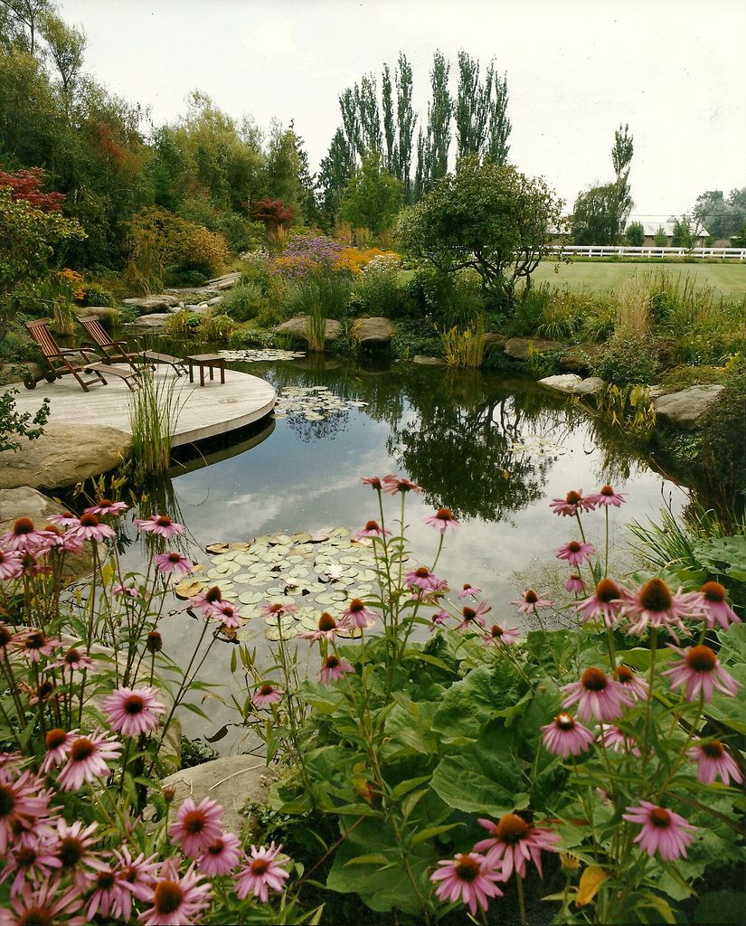 From Dream to Reality: Building Your Own
  Backyard Pond