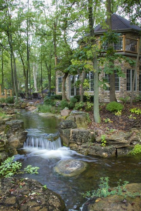 Dive into Tranquility: Steps to Building
  a Beautiful Backyard Pond