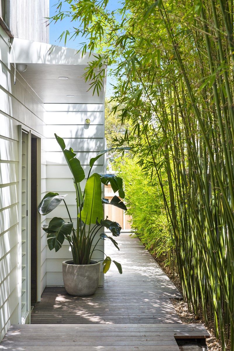 Enhance Your Deck with Bamboo: Durable,
  Eco-Friendly, and Stylish