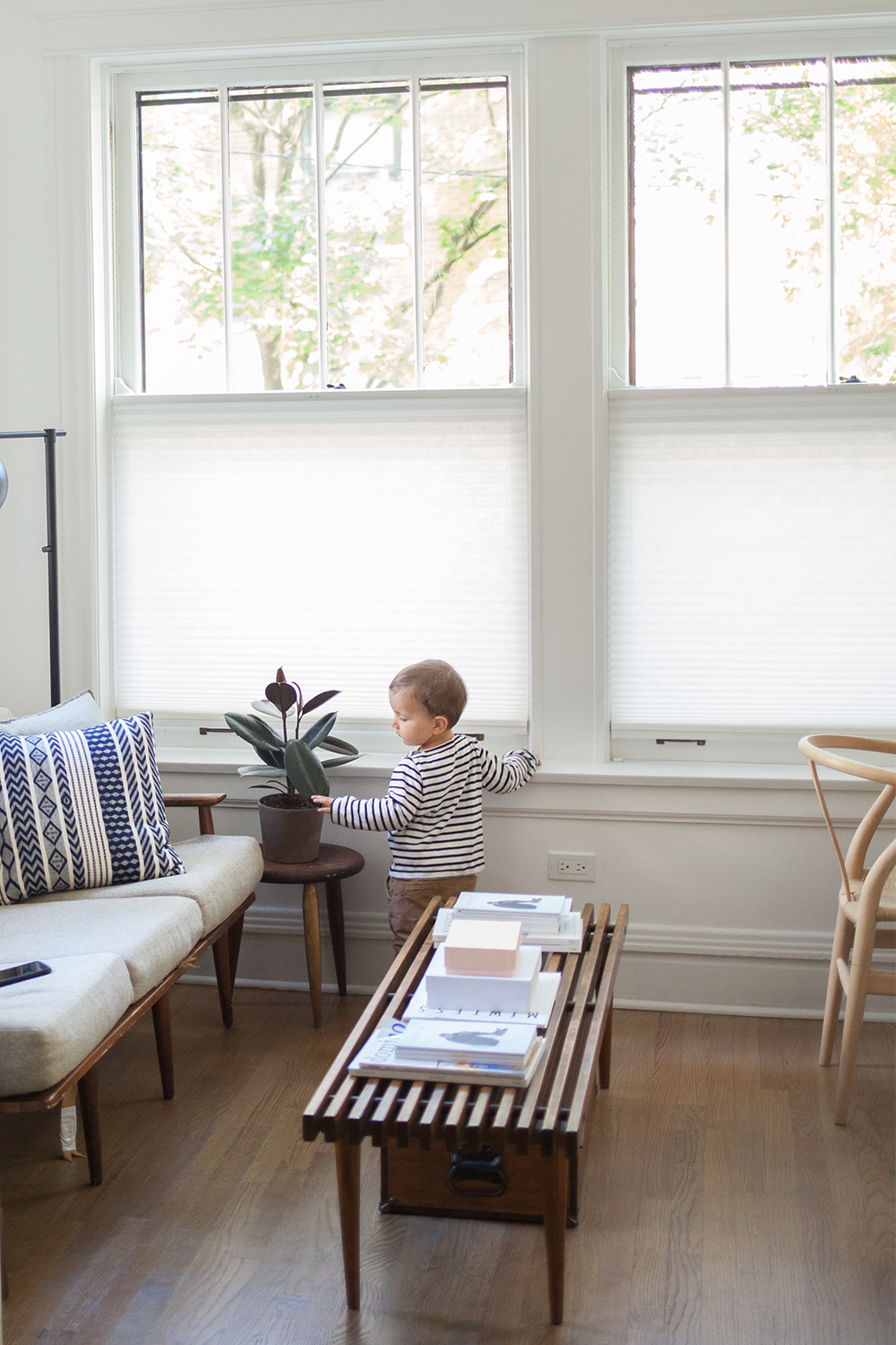 The Benefits of Cellular Shades: A
  Comprehensive Guide