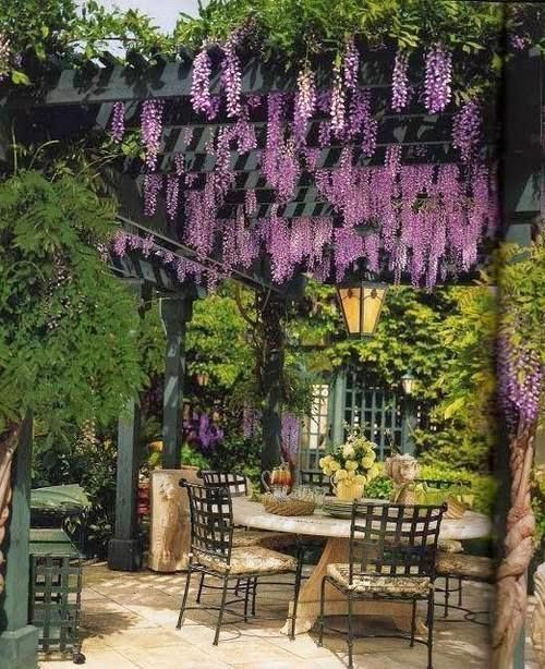 Create a Tranquil Outdoor Oasis with a
Covered Pergola