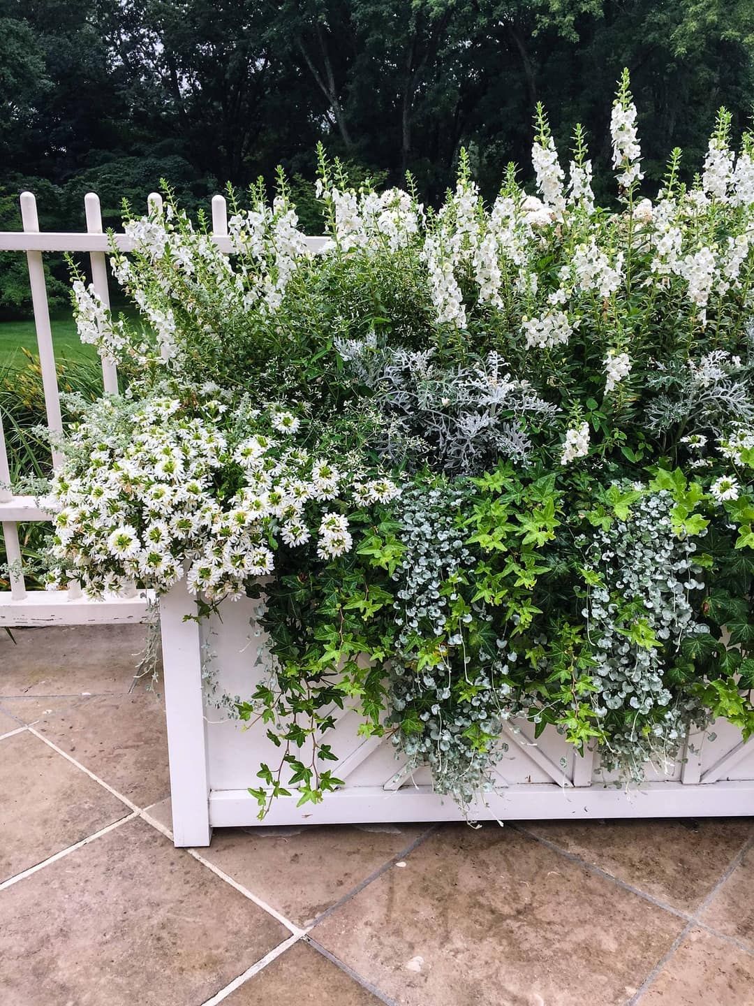 Creative Ideas for Deck Planters that
  Will Transform Your Outdoor Space