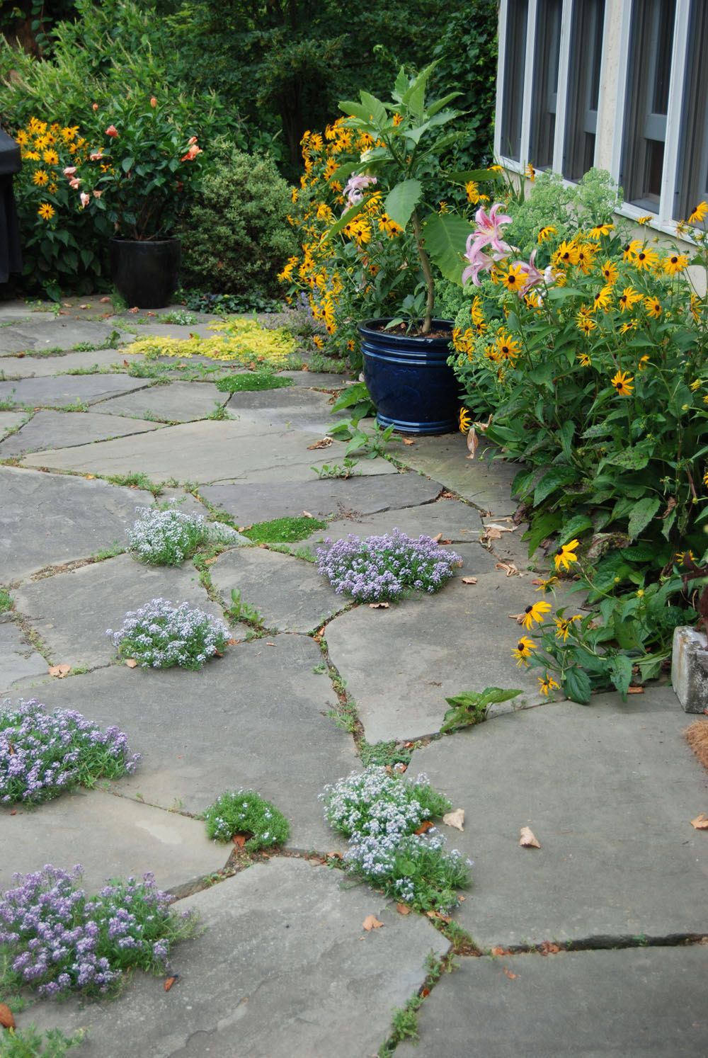 Design Ideas and Inspiration for a
  Flagstone Patio