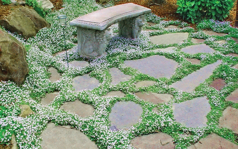 Ultimate Guide to Flagstone Pavers:
  Everything You Need to Know