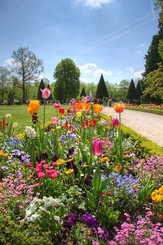 The Art of Creating Stunning Flower Beds