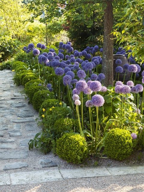 Creative Ideas for Front Garden Designs