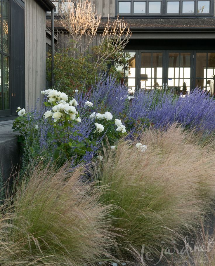 Innovative Front Yard Landscaping Trends
  for a Beautiful Home Exterior