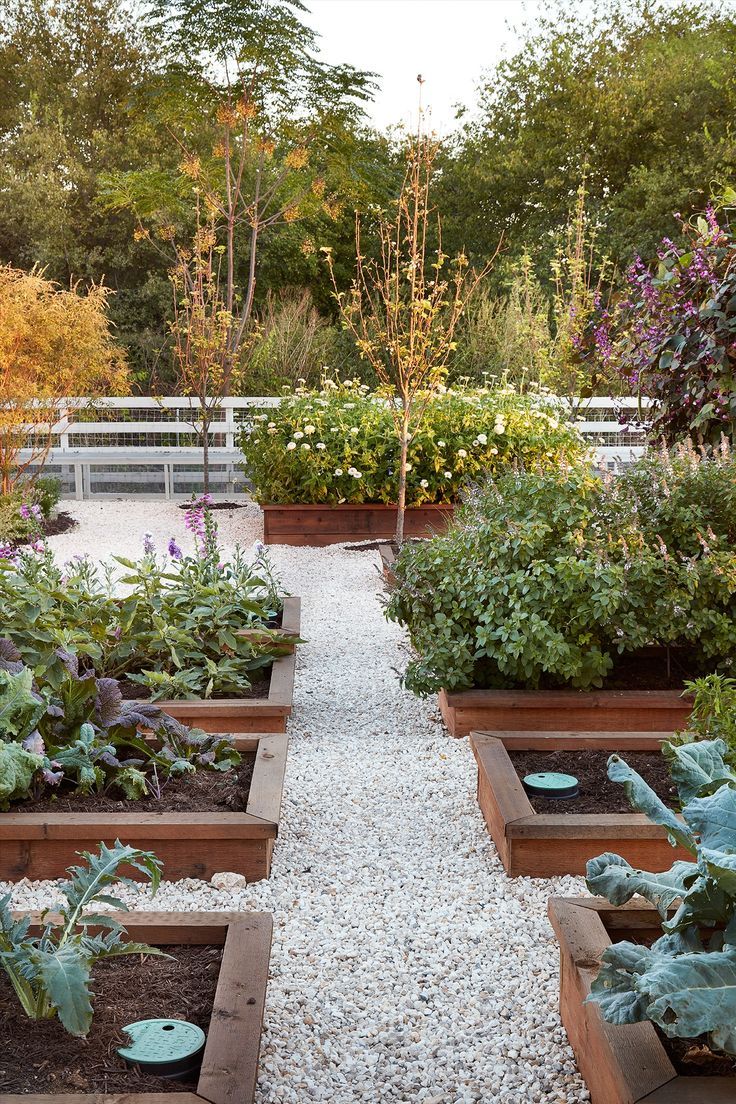 Transform Your Yard with Beautiful Garden
  Beds