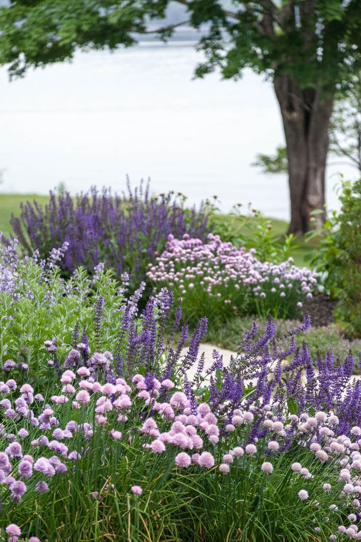 Creative Garden Border Ideas for a
Beautiful Outdoor Space