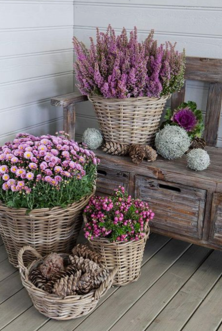 Elevate Your Outdoor Space with Stunning
  Garden Decor