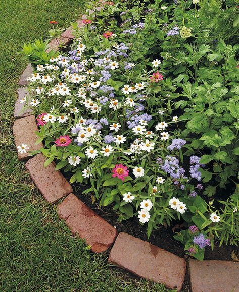 Transform Your Yard with These
  Eye-Catching Garden Edging Designs