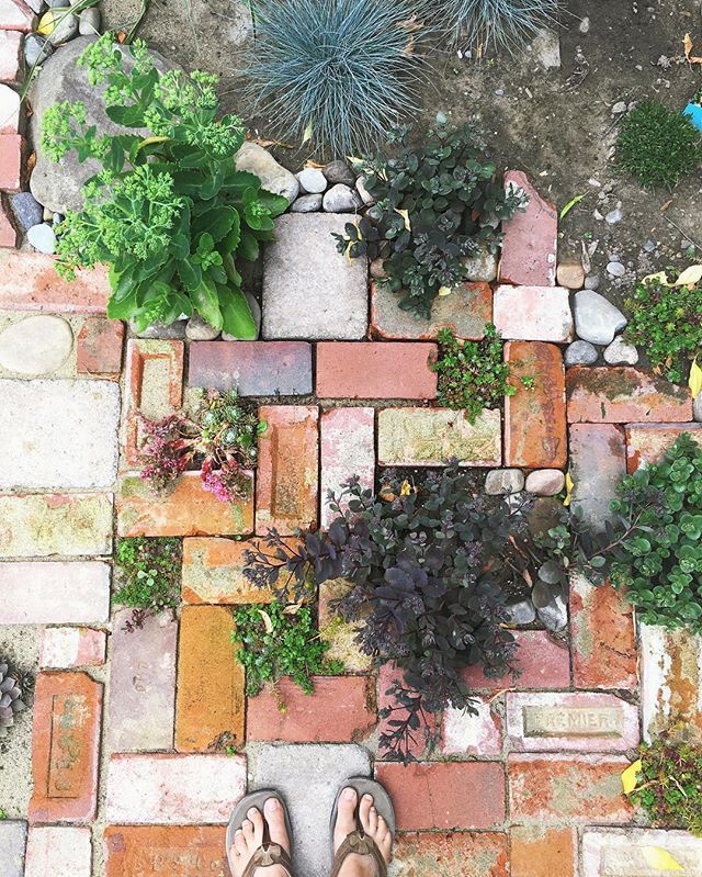 The Ultimate Guide to Choosing the Right
Garden Pavers