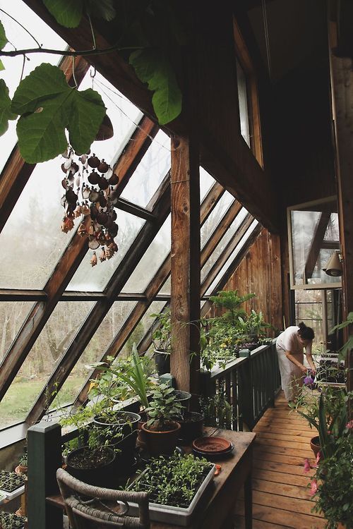 The Benefits of Creating an Indoor Garden