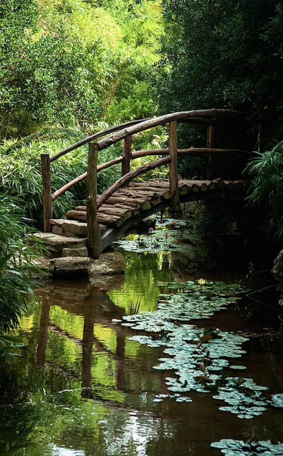 The Art of Japanese Garden Design:
Bringing Harmony to Your Outdoor Space