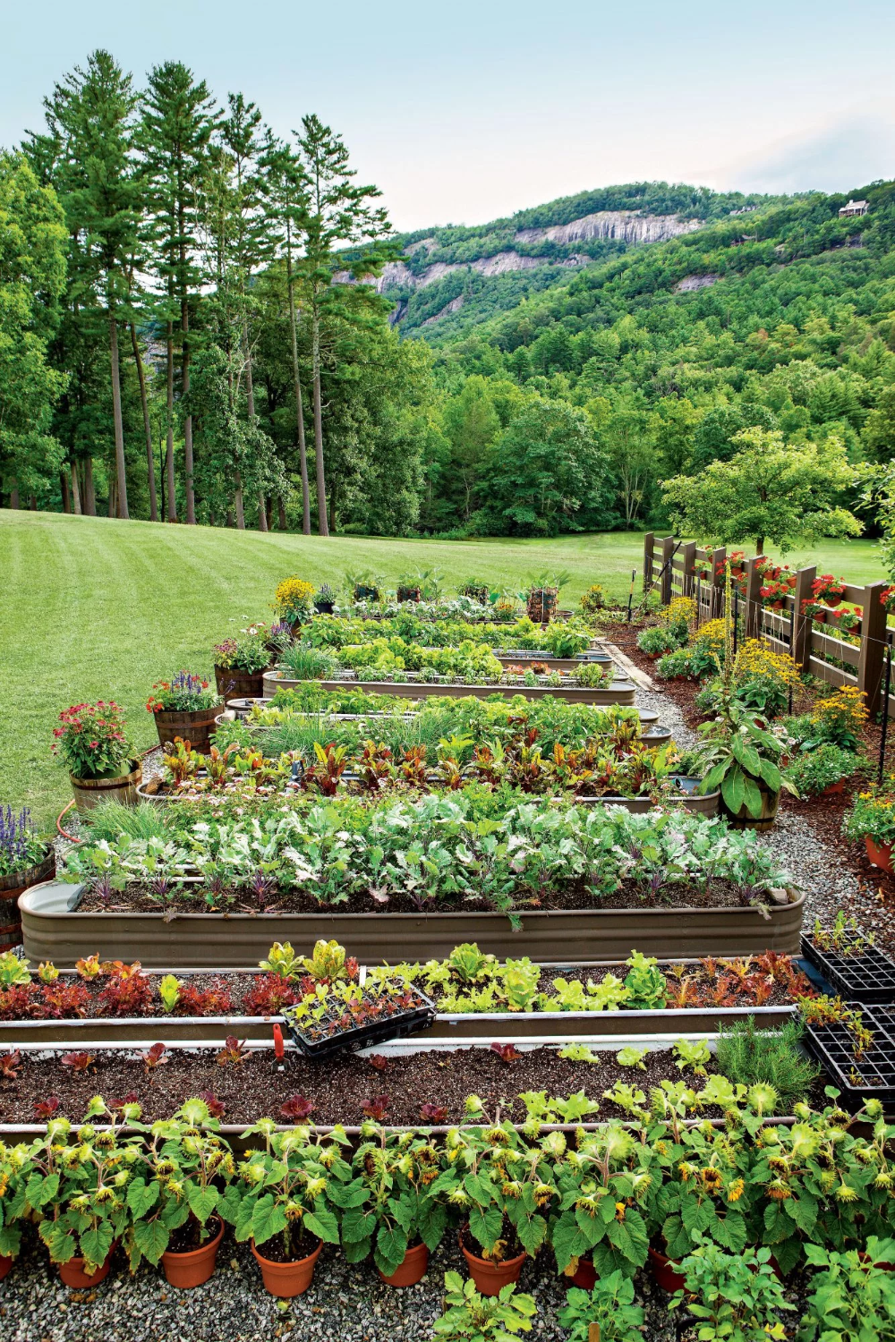 How to Start a Successful Kitchen Garden