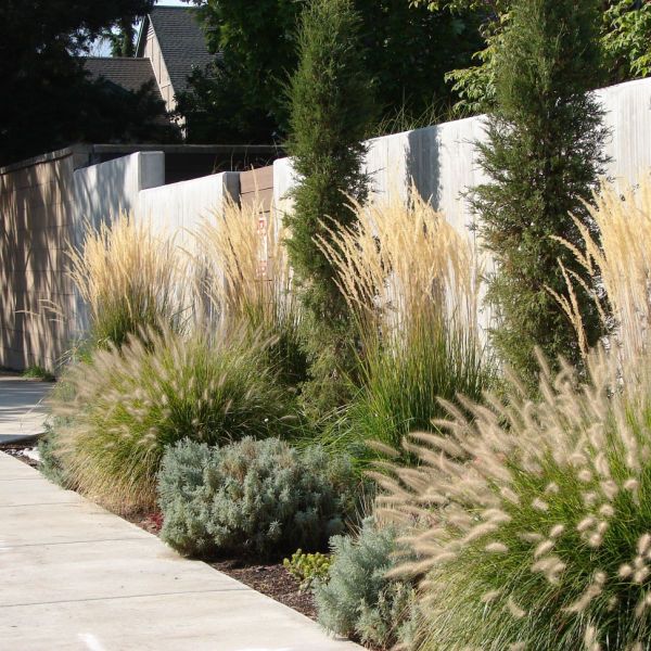 Creative Ideas for Modern Landscaping
  Designs