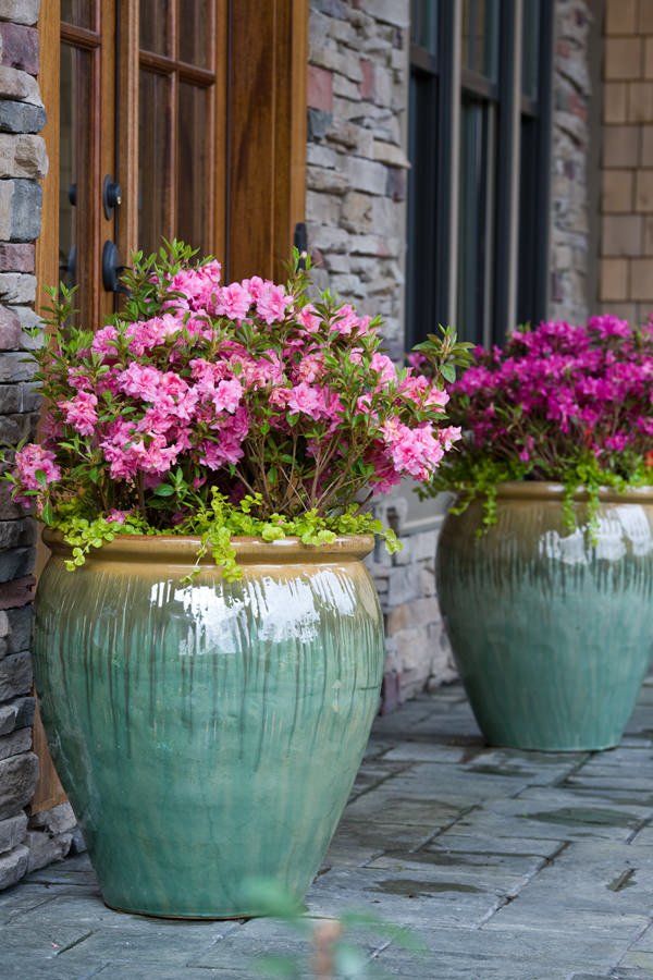 Elevate Your Outdoor Space with Stylish
Large Garden Pots