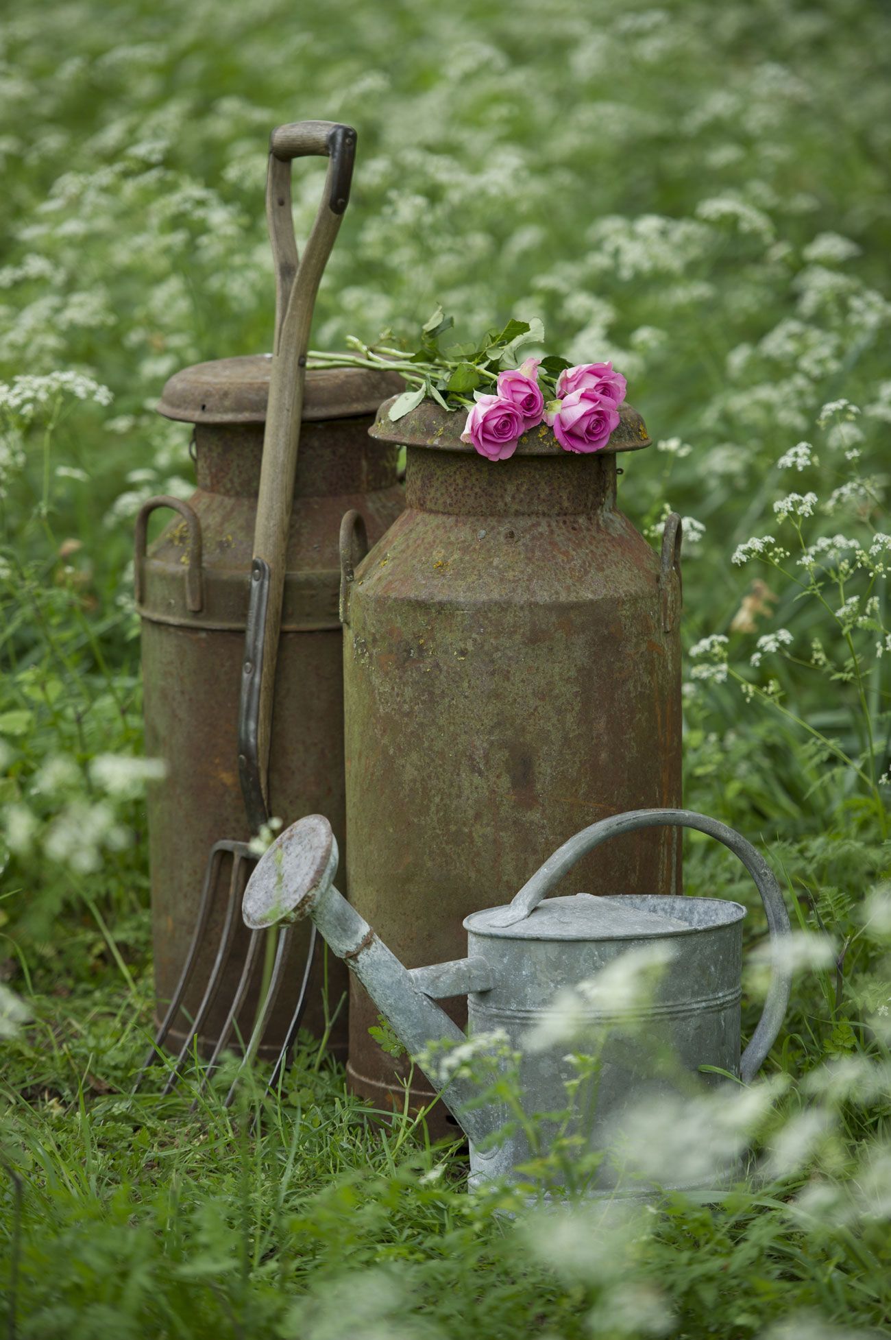 Must-Have Patio Accessories for Your
  Outdoor Oasis